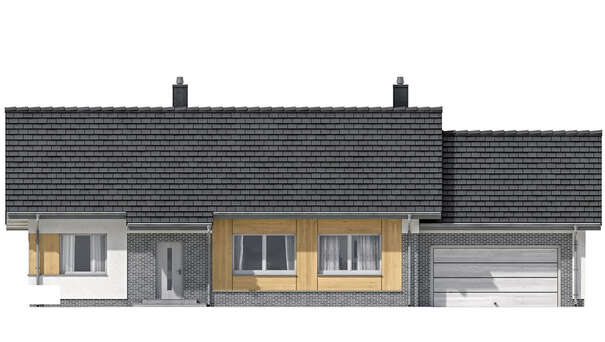 Visualization gallery - The project of a one-story cottage with a garage for two cars