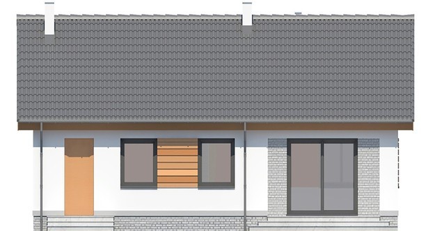 Visualization gallery - One-storey house with a living area of 100 squares